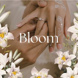 bloom C (merged)